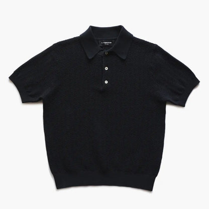 Textured Knit Polo shirt with Classic Collar