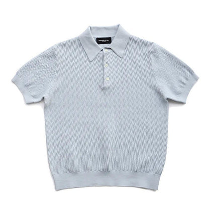Textured Knit Polo shirt with Classic Collar